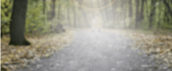 Reduced Contrast Maple Grove Eye Doctors at Pearle Vision